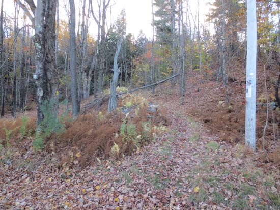 The Helen's Trail trailhead on Mountain Road