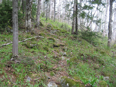 The Kilkenny Ridge Trail on the way to Terrace Mountain
