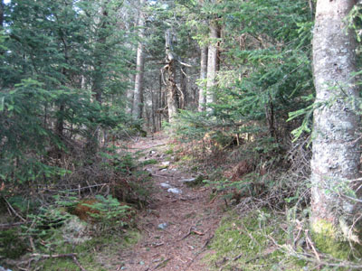 The sun comes out again on the Kilkenny Ridge Trail on the way to The Bulge