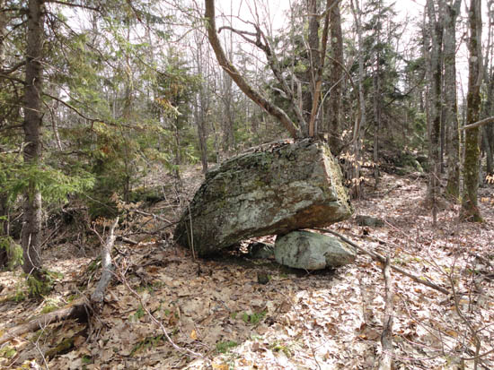 Open woods on the way up Tucker Mountain