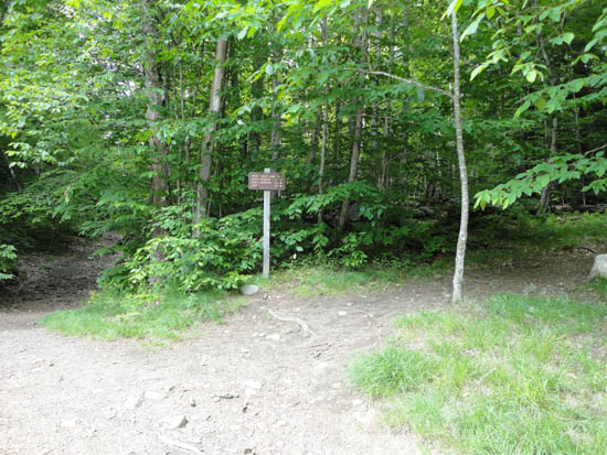 The Welch-Dickey Loop Trail trailhead