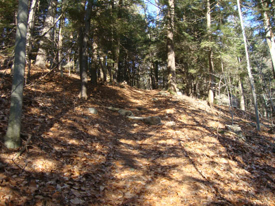 Looking up the Col Trail