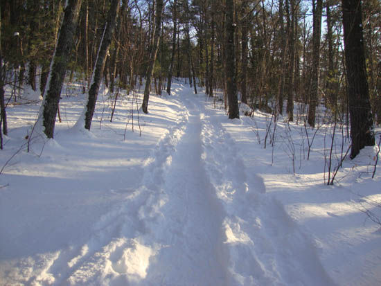 Looking up the Old Bridle Path