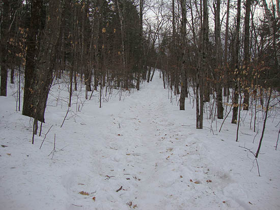 Looking up the Old Bridle Path