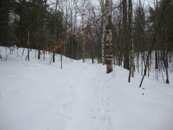Looking up the Old Bridle Path