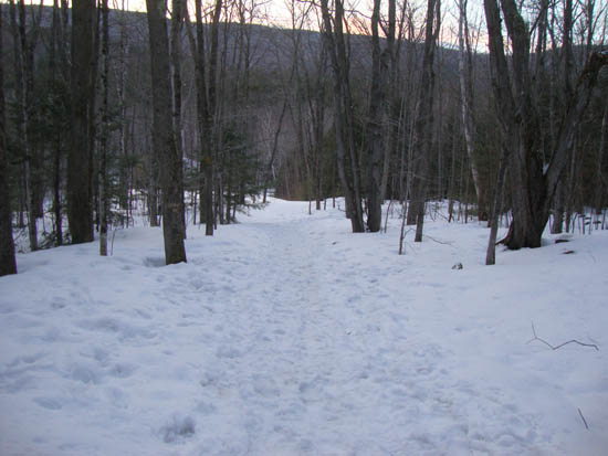 Looking down the Old Bridle Path