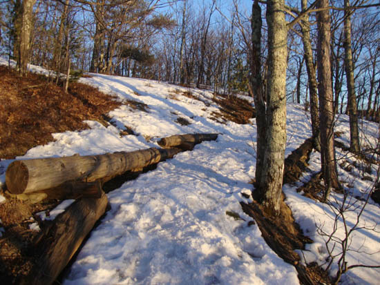 Looking up the Old Bridle Path