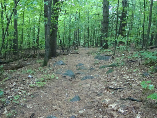 Looking down the Pasture Trail