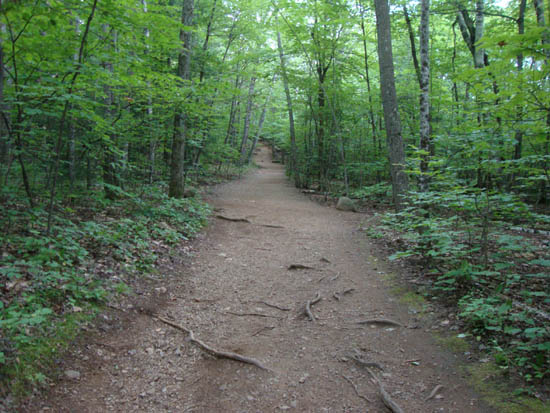 Looking up the Old Bridle Path