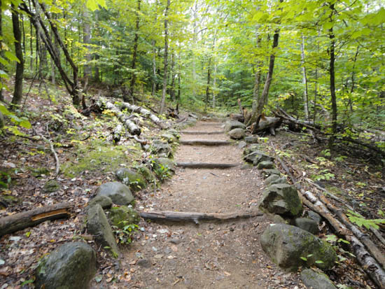 Looking up the Old Bridle Path