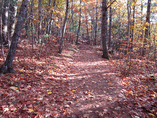 Looking up the Old Bridle Path