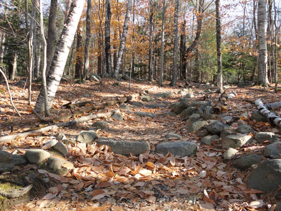Looking up the Old Bridle Path
