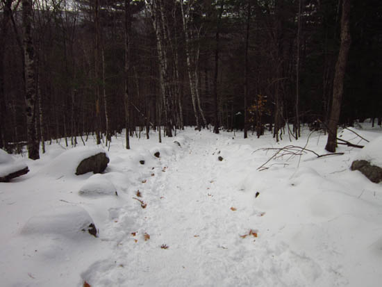 Looking down the Old Bridle Path
