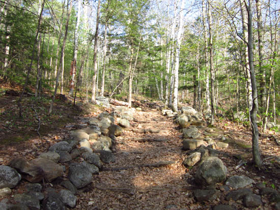 Looking up the Old Bridle Path