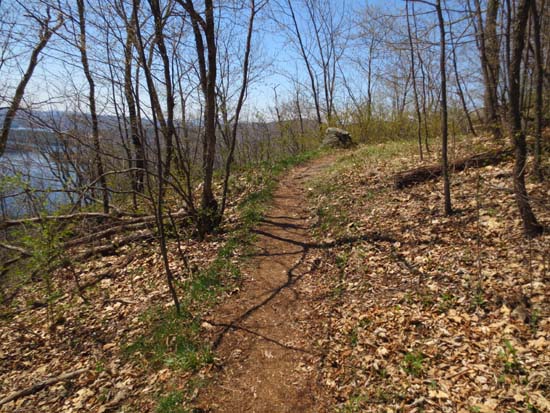 Looking up the Pasture Trail