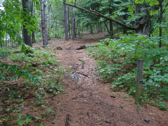 The Pasture Trail trailhead