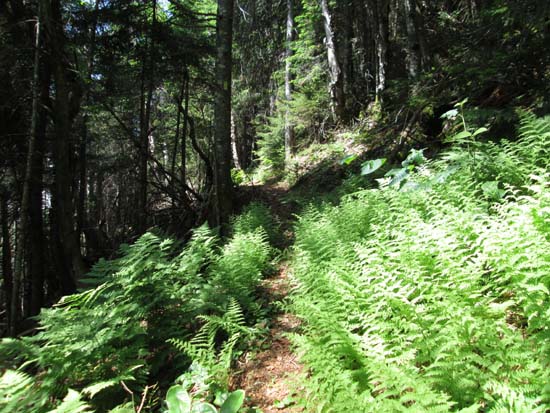 Descending the abandoned Osseo Trail on the way to South Whaleback