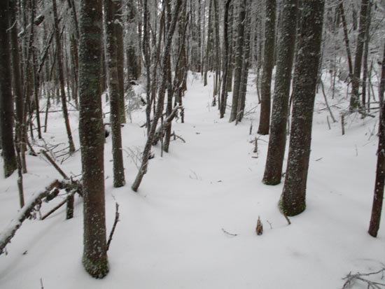 Possible old trail corridor between Mendon and Little Killington