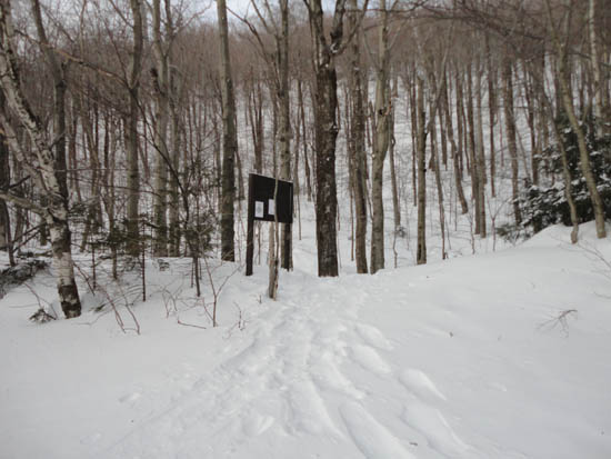 The Long Trail trailhead off Route 108