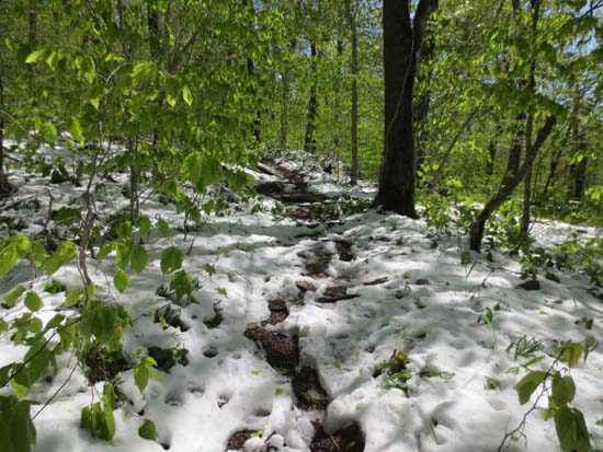 Winter and summer on the Long Trail to Styles Peak