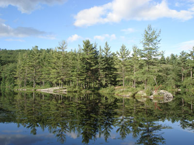 McLeod Pond