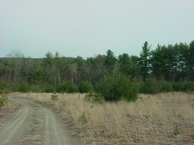 Speaker posts at the Mohawk Trail Community Drve In