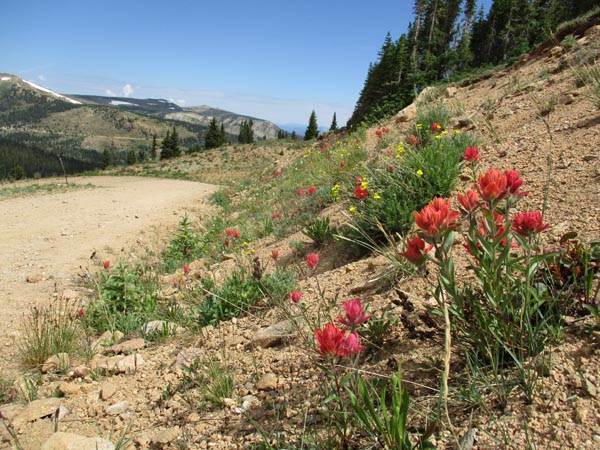 The access road