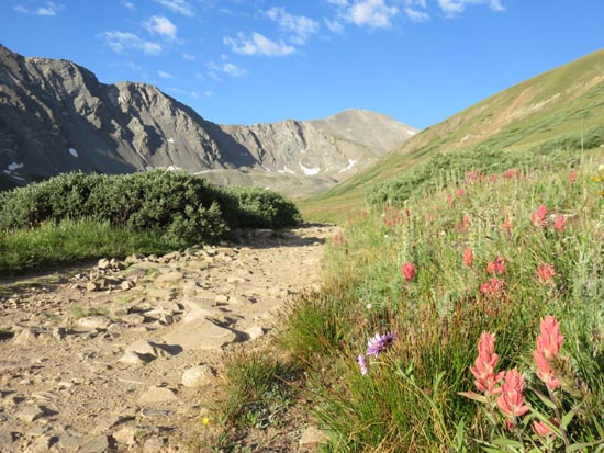 Looking up the Grays Peak Trail