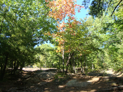 Looking up the road to Abbott Mountain