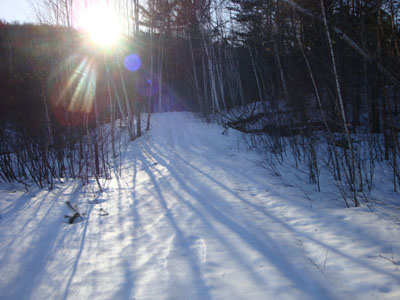 The bottom of the chute leading to the old Shuss Nut ski trail