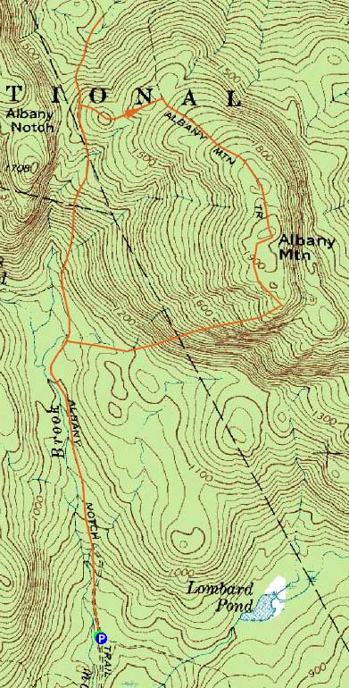 Topographic map of Albany Mountain - Click to enlarge