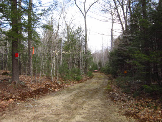 The Albany Notch Trail trailhead