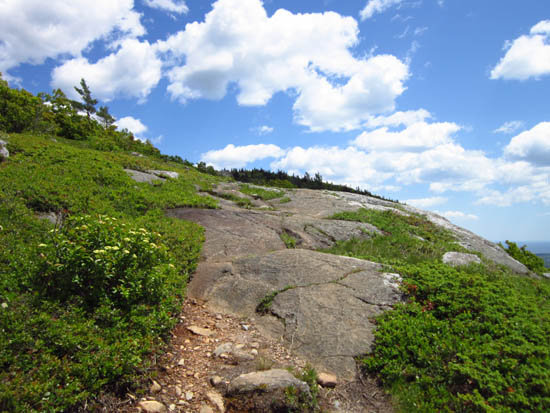 The Bald Mountain Trail