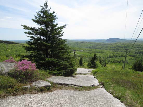 Looking down the access road
