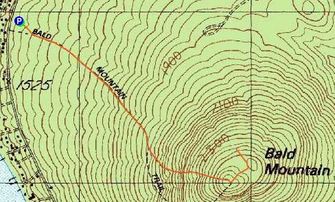 Topographic map of Bald Mountain
