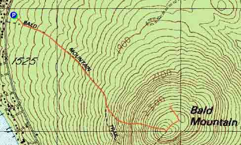 Topographic map of Bald Mountain
