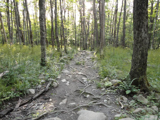 Looking down the Bald Mountain Trail