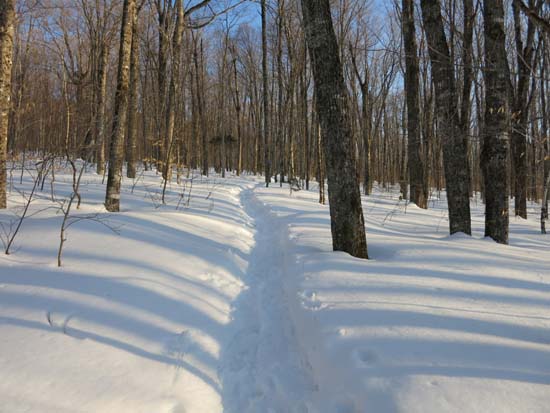 The Bald Mountain Trail