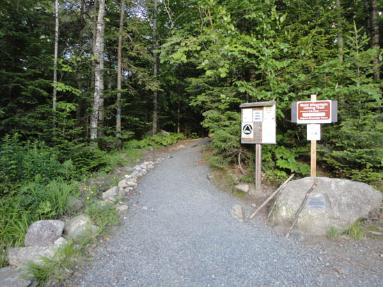 Bald Mountain Trail trailhead