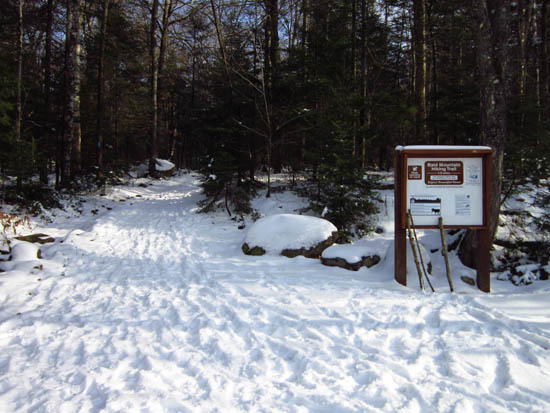 Bald Mountain Trail trailhead