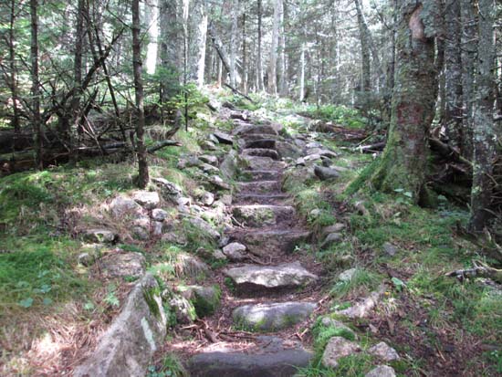 Looking up the Appalachian Trail on the way to West Baldpate