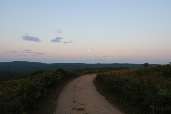The Beech Hill carriage road