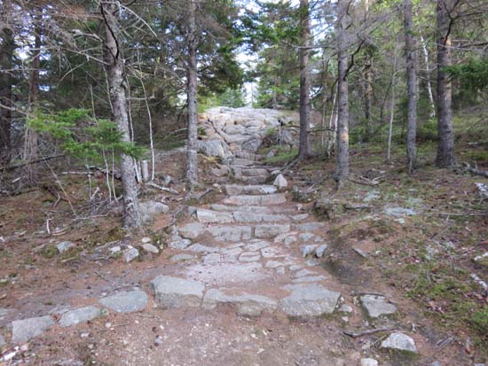 The Beech Mountain Loop