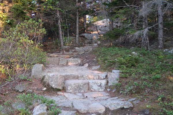 The Beech Mountain Loop