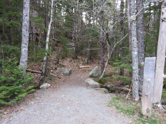 The Beech Mountain Loop trailhead at the end of Beech Hill Road