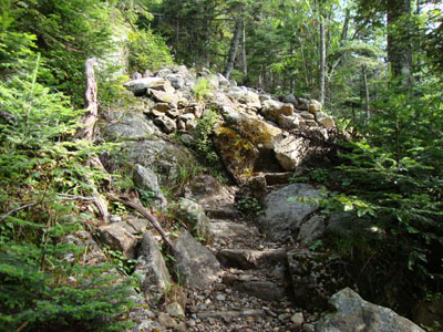 Looking up the Fire Warden's Trail on the way to Avery Peak