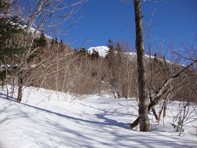 Looking up the Fire Warden's Trail on the way to Avery Peak