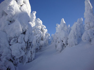 Looking up the Appalachian Trail on the way to Avery Peak