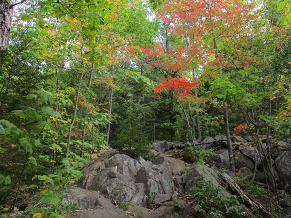 Looking up the Fire Warden's Trail on the way to Avery Peak