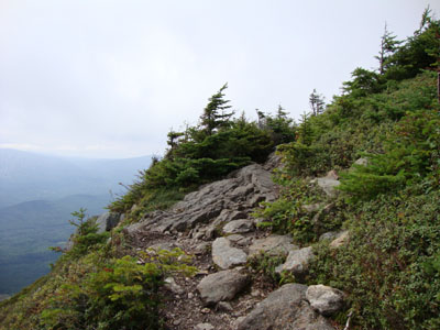 The Appalachian Trail on the way to Bigelow Mountain's West Peak